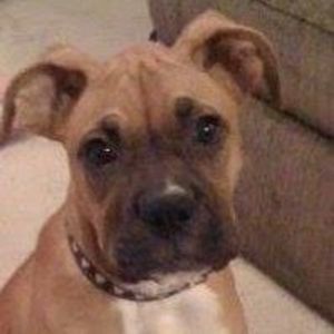 Meet your Posher, Denise